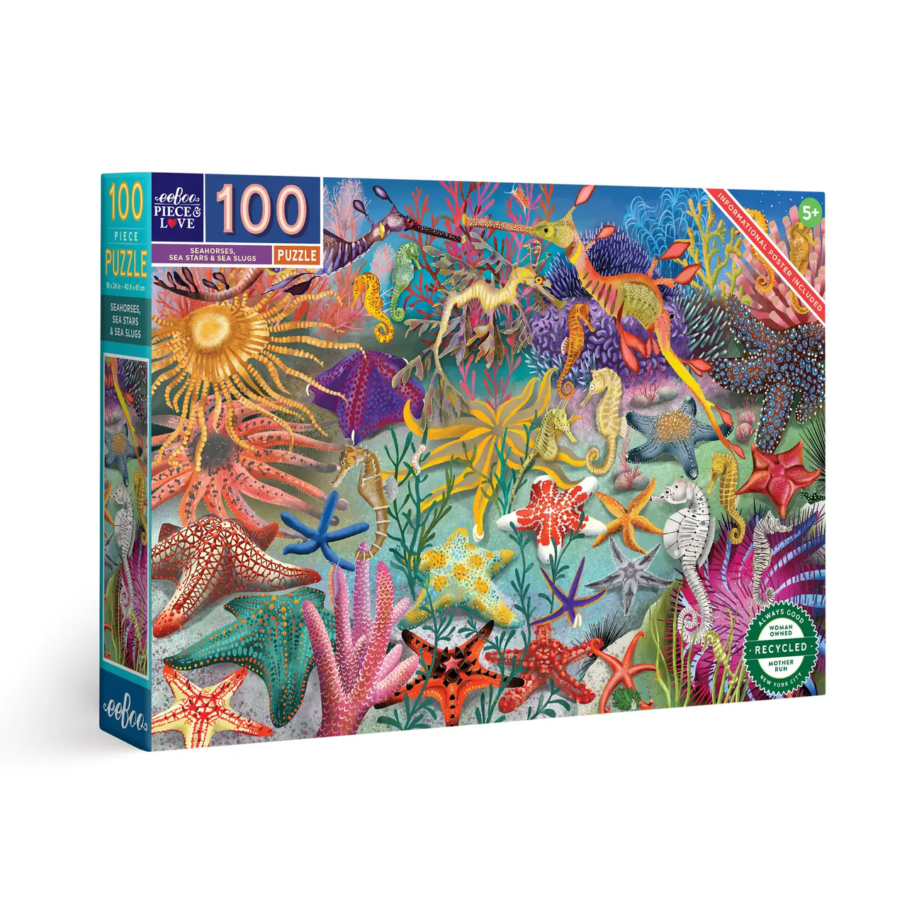 eeBoo: Seahorses, Sea Stars & Sea Slugs 100pc puzzle