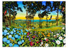 Pomegranate: Billy Hassell “In The Wild” Boxed Cards