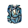 Morpho