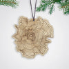 SML: Topography Ornament