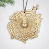 SML: Topography Ornament