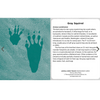 Pomegranate: Animal & Bird Tracks Knowledge Cards