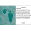 Animal & Bird Tracks Knowledge Cards