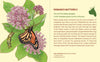 Pomegranate: Pollinators Knowledge Cards