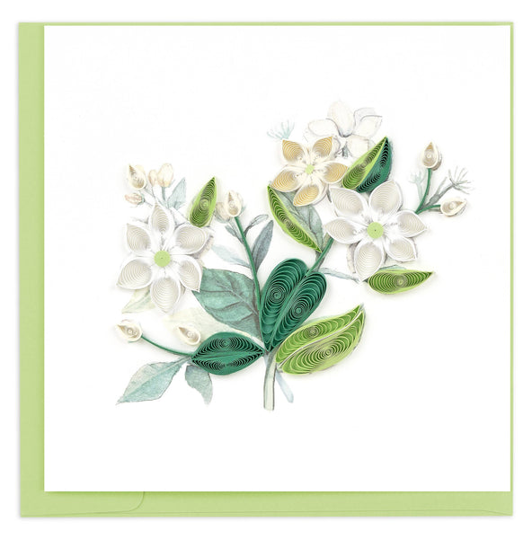 Quilling Card: Royal Jasmine