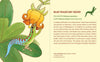 Pomegranate: Pollinators Knowledge Cards