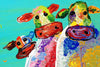 Cows - Udder Nonsense
