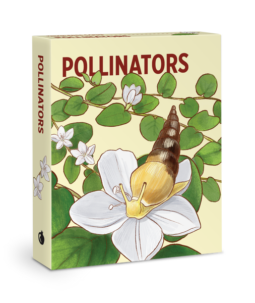 Pomegranate: Pollinators Knowledge Cards