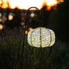 Allsop: Stella Square Sunflower 11" Solar Lantern, Pearl