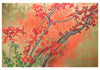 Pomegranate: Joan Metcalf "Shimmer" notecards