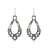 FIrefly: Oval Hoop Earrings (E414)