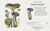 Pomegranate: Mushrooms Knowledge Cards