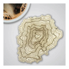 SML: Topography Coaster