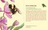 Pomegranate: Pollinators Knowledge Cards