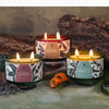 Big Dipper Wax Works: Terra Botanica Glass Candle