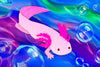 Micro Puzzle: Axolotl