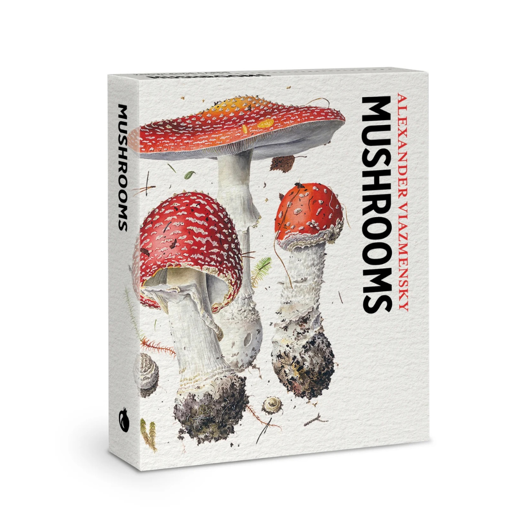 Pomegranate: Mushrooms Knowledge Cards