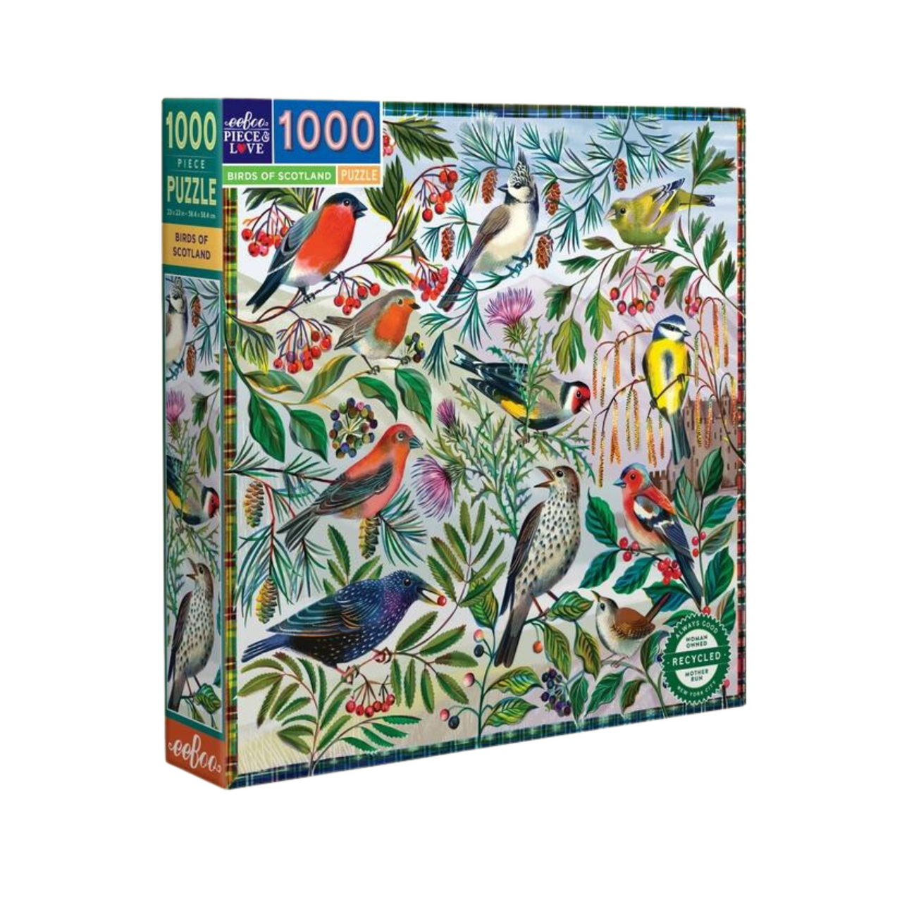 eeBoo: Birds of Scotland 1000pc Puzzle