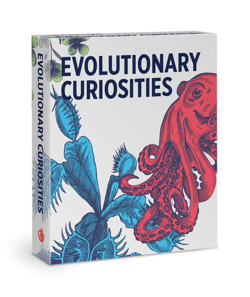 Pomegranate: Evolutionary Curiosities Knowledge Cards