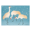 Crane Creek Graphics: Holiday Card Box, Birds,