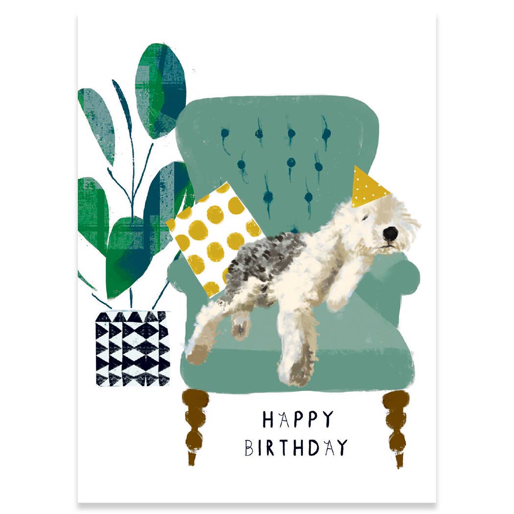 Calypso: Cake Coma Birthday