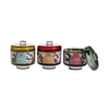 Big Dipper Wax Works: Terra Botanica Glass Candle