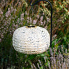 Allsop: Stella Square Sunflower 11" Solar Lantern, Pearl