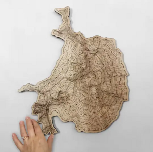 SML: Topography Wall Art