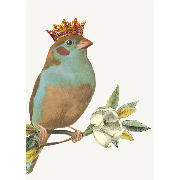 P. Flynn: Bird Crown Gift Enclosure