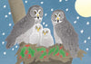 Crane Creek Graphics: Holiday Card Box, Birds,