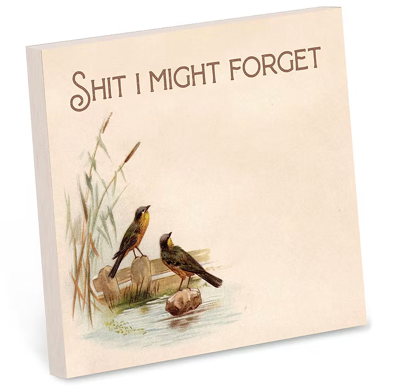 Bad Betty: Shit I Might Forget Sticky Notes