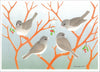 Crane Creek Graphics: Holiday Card Box, Birds,