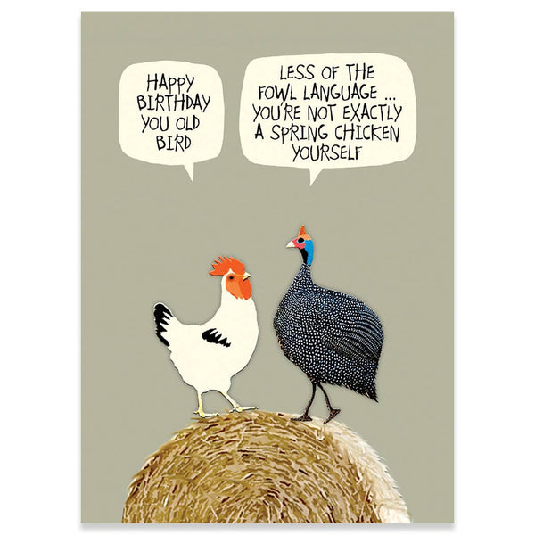 Sally Scaffardi: Wise Bird