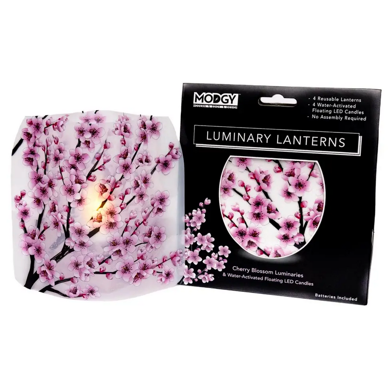 MODGY: Luminary Set, Assorted Designs