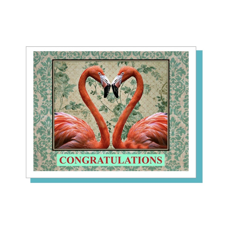 Umlaut Brooklyn: Flamingos Congratulations Card