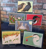 Crane Creek Graphics: Holiday Card Box, Birds,